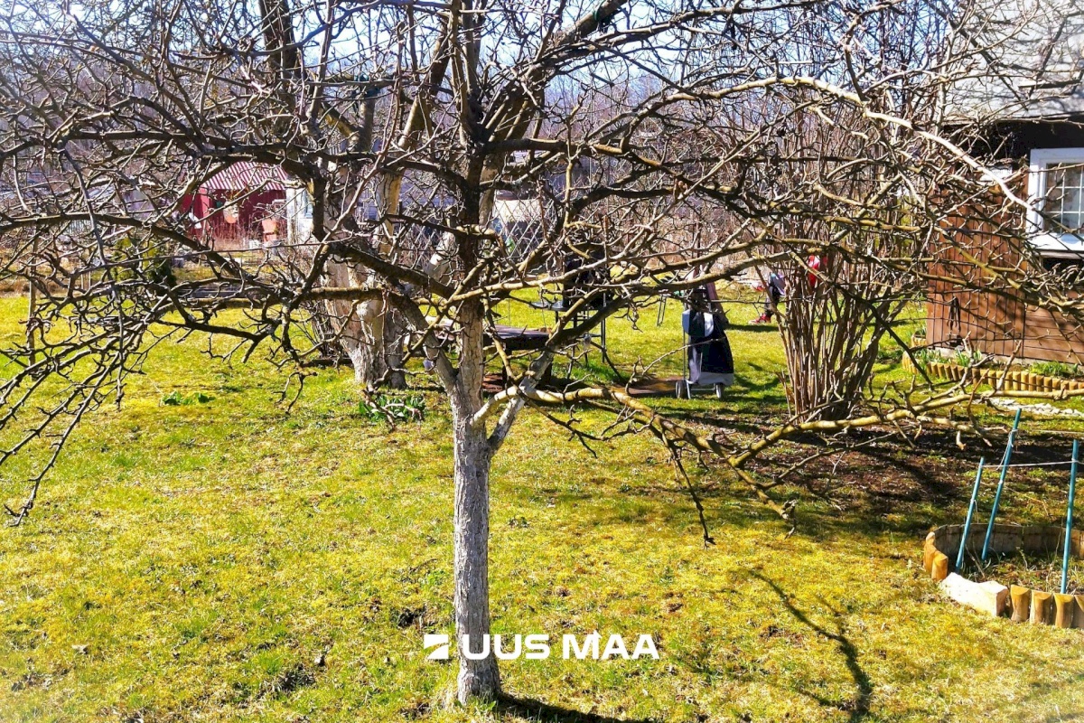 Lääne-Harju vald, Paldiski linn, Mooni tn 8