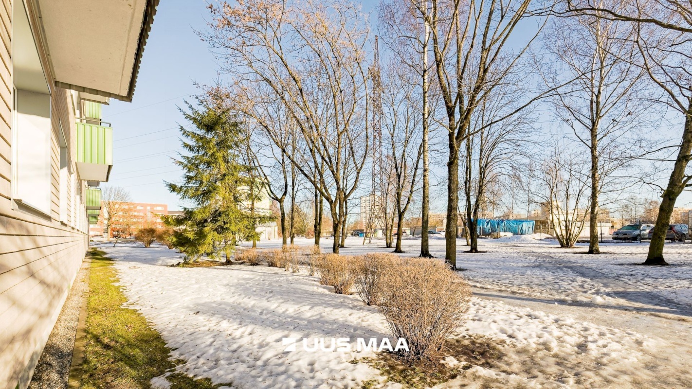 Tallinn, Põhja-Tallinna linnaosa, Pelguranna, Puhangu 55