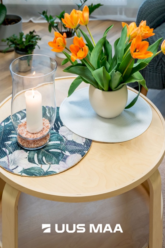 Harku vald, Tabasalu alevik, Kallaste 7