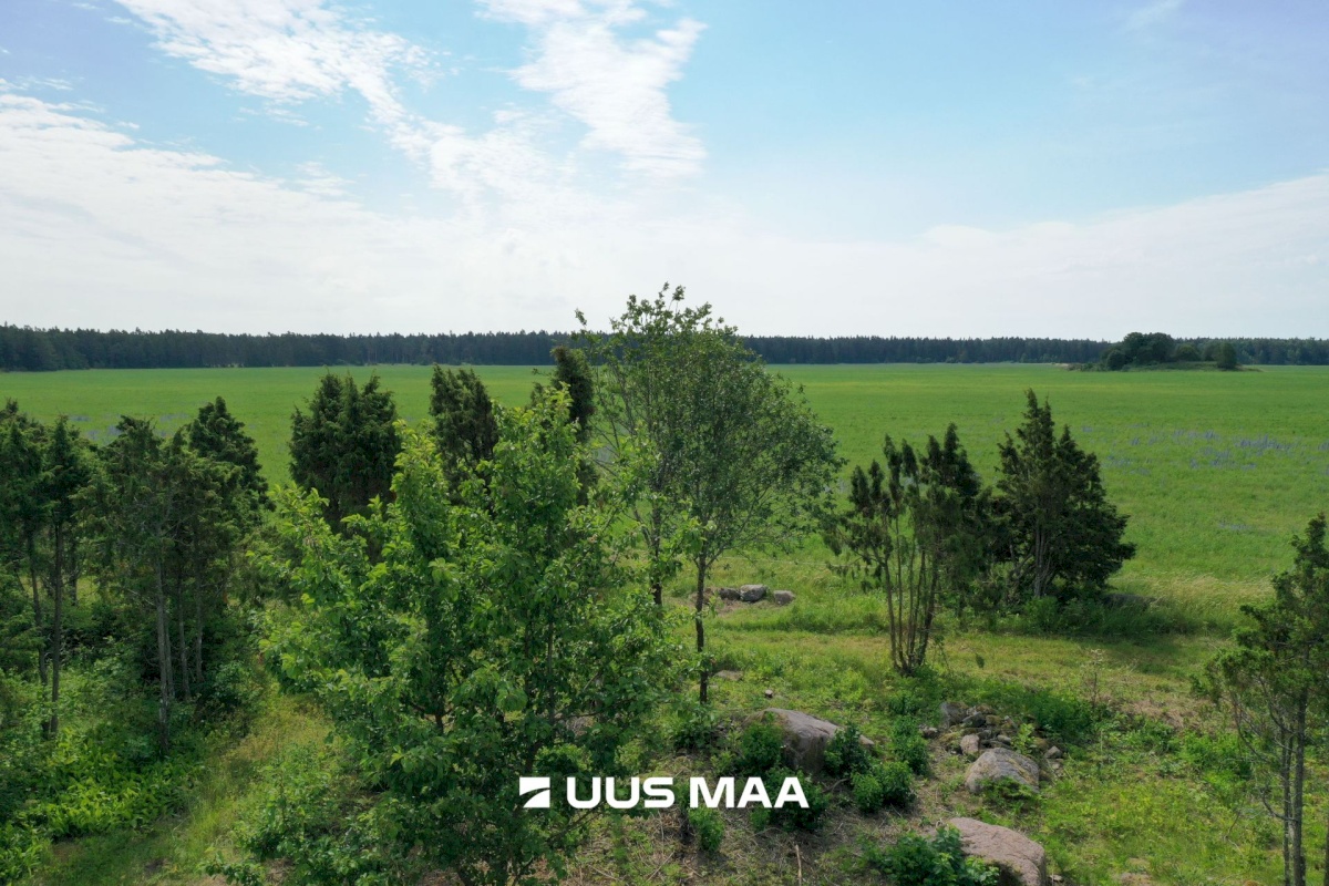 Vormsi vald, Saxby küla, Kadakasaare