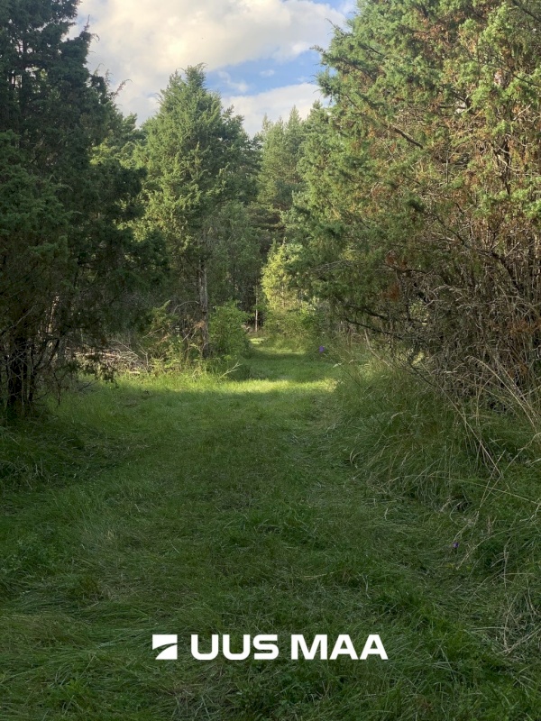 Vormsi vald, Saxby küla, Kadakasaare