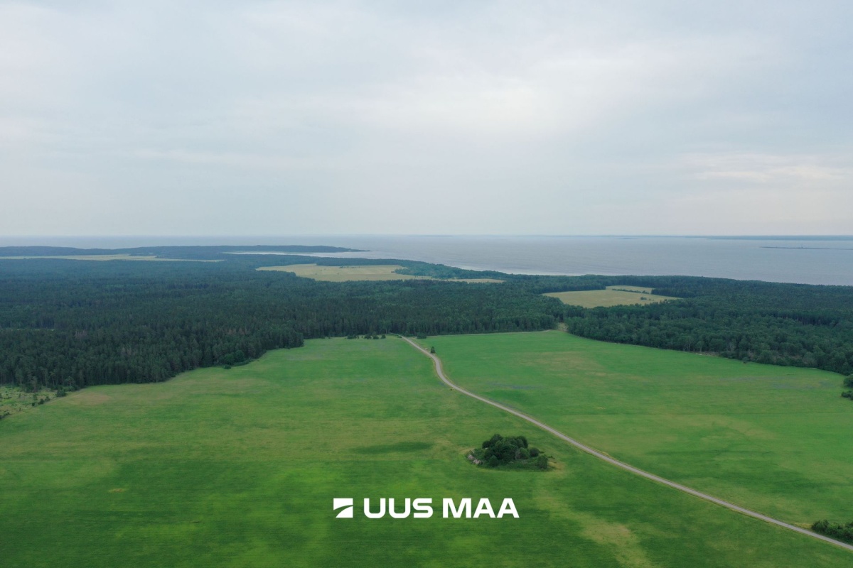 Vormsi vald, Saxby küla, Kadakasaare
