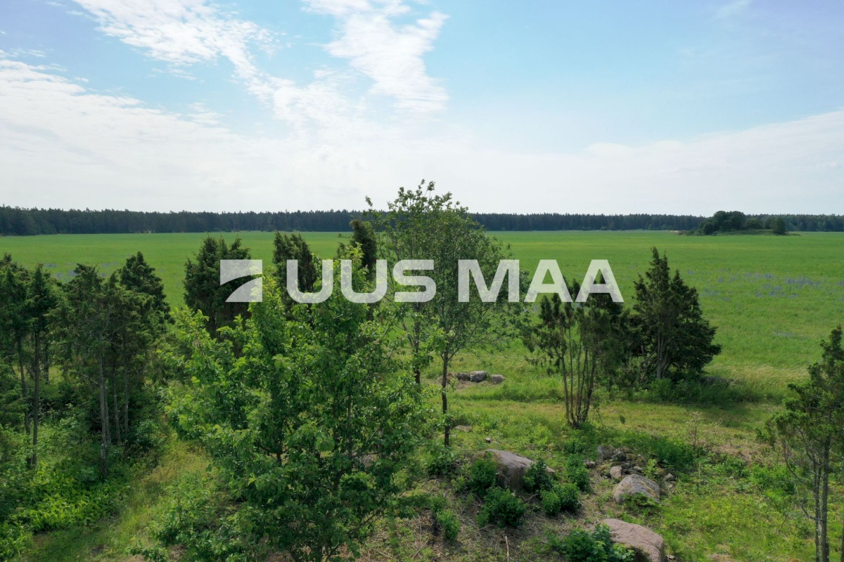 Vormsi vald, Saxby küla, Kadakasaare