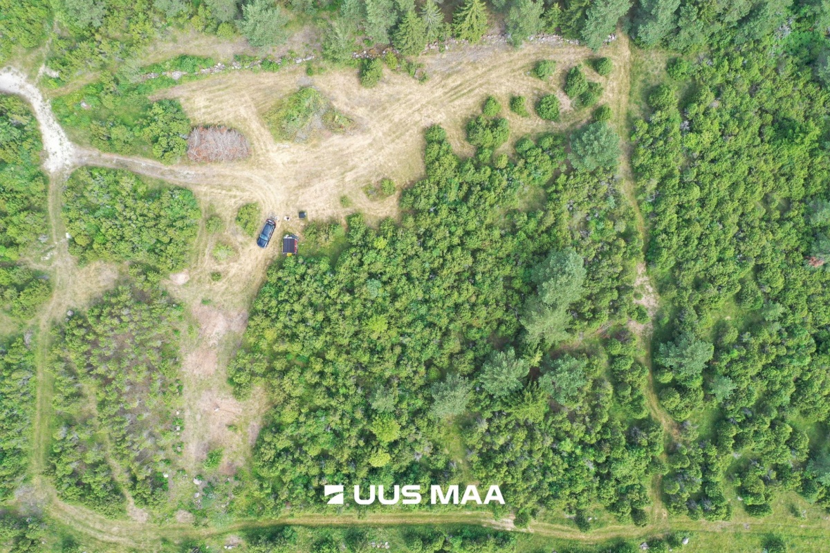 Vormsi vald, Saxby küla, Kadakasaare