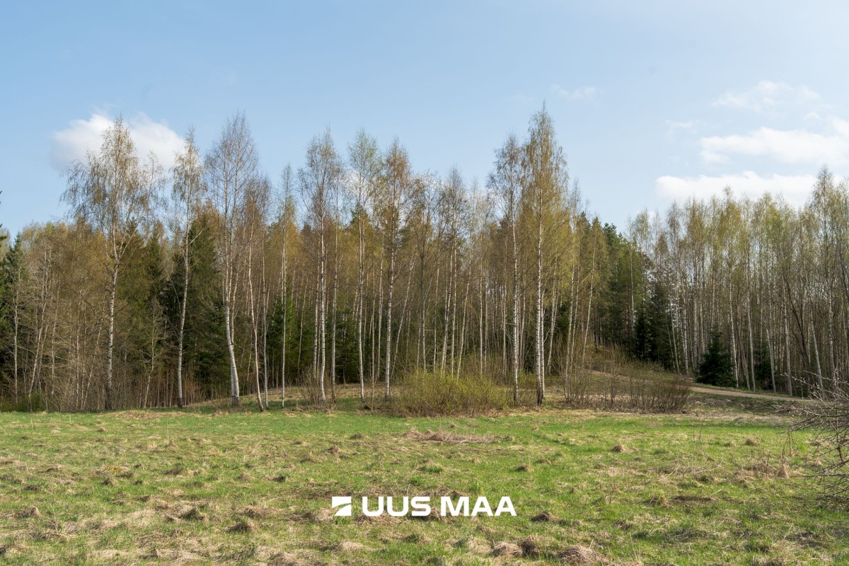 Otepää vald, Vana-Otepää küla