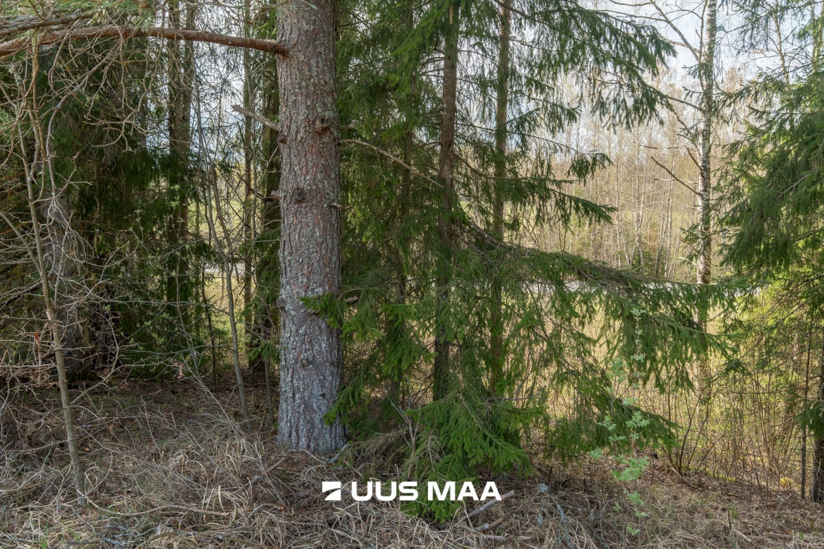 Otepää vald, Vana-Otepää küla