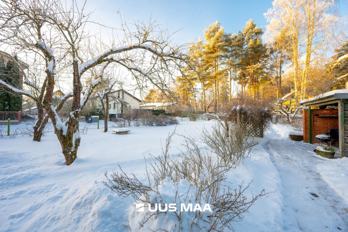 Tallinn, Haabersti linnaosa, Tanuma 114