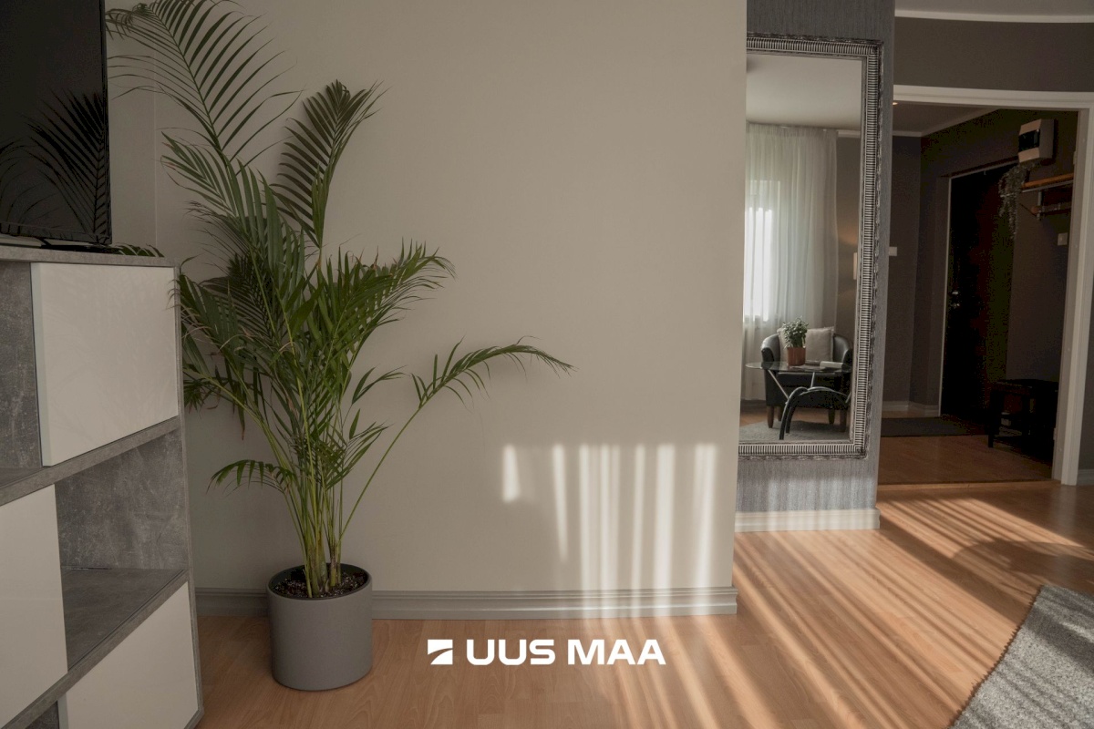 Hiiumaa vald, Kärdla linn, Pae 8