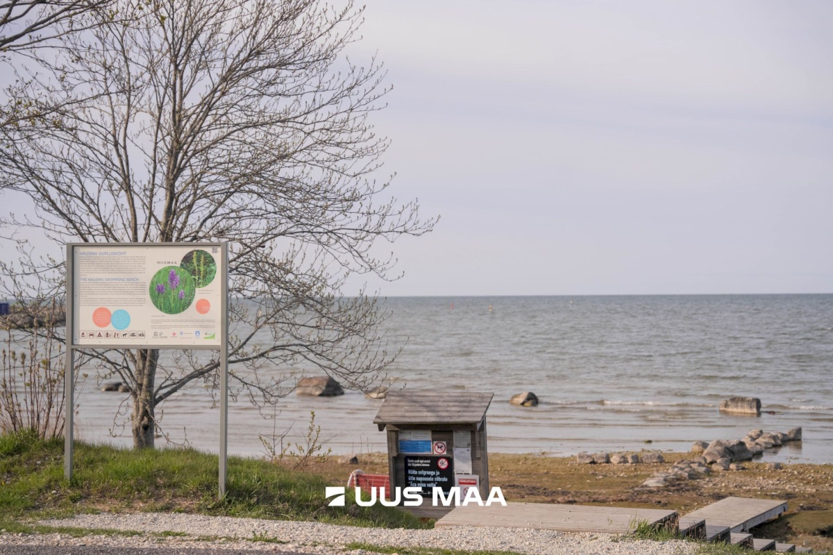 Hiiumaa vald, Kärdla linn, Pae 8