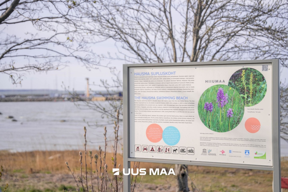 Hiiumaa vald, Kärdla linn, Pae 8