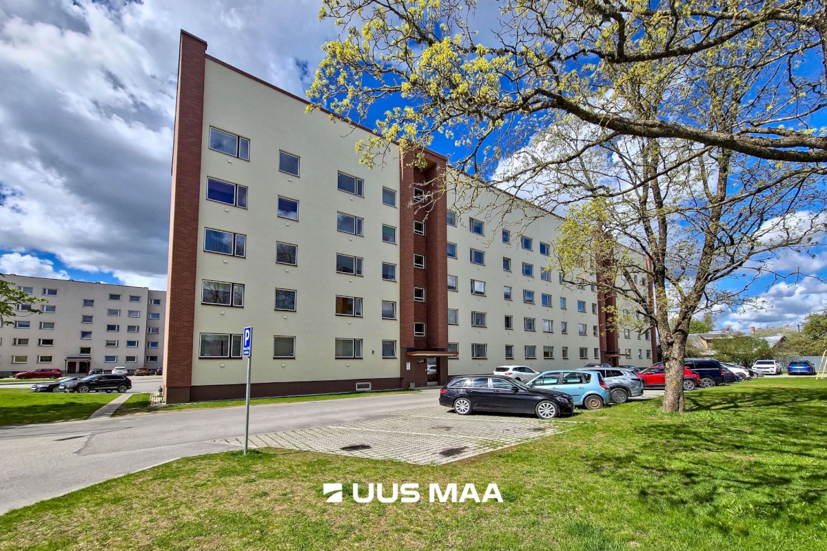 Viljandi linn, Männimäe, Reinu tee 12