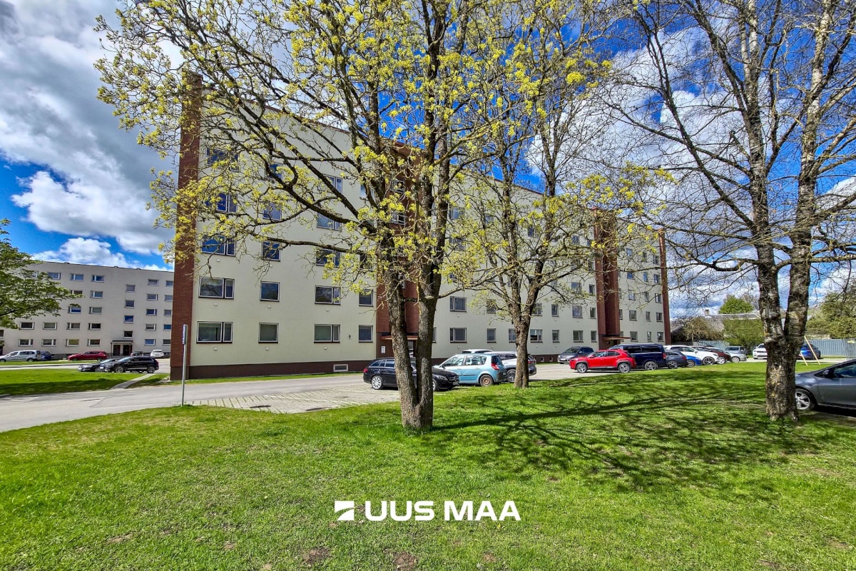 Viljandi linn, Männimäe, Reinu tee 12