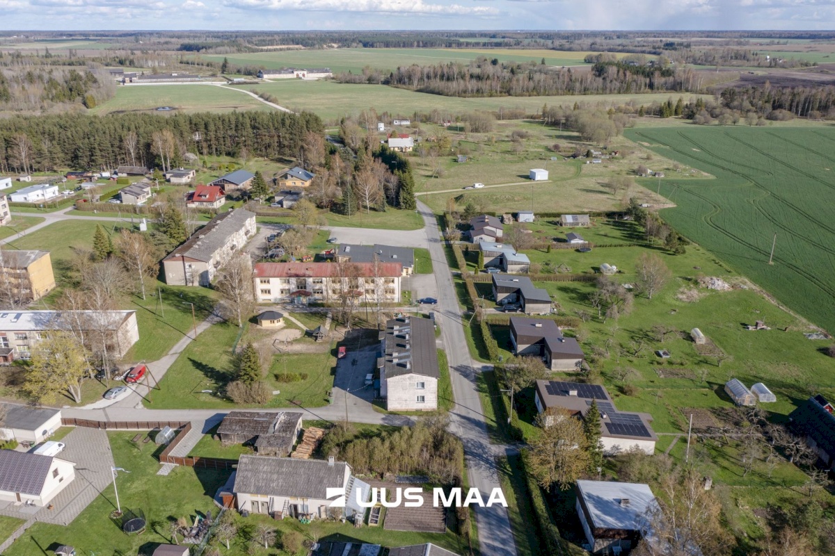 Järva vald, Ahula küla, Hiirekõrva