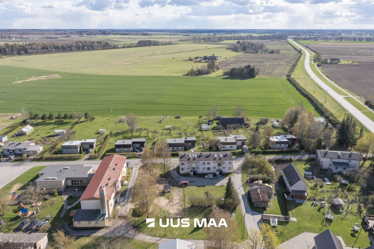 Järva vald, Ahula küla, Hiirekõrva