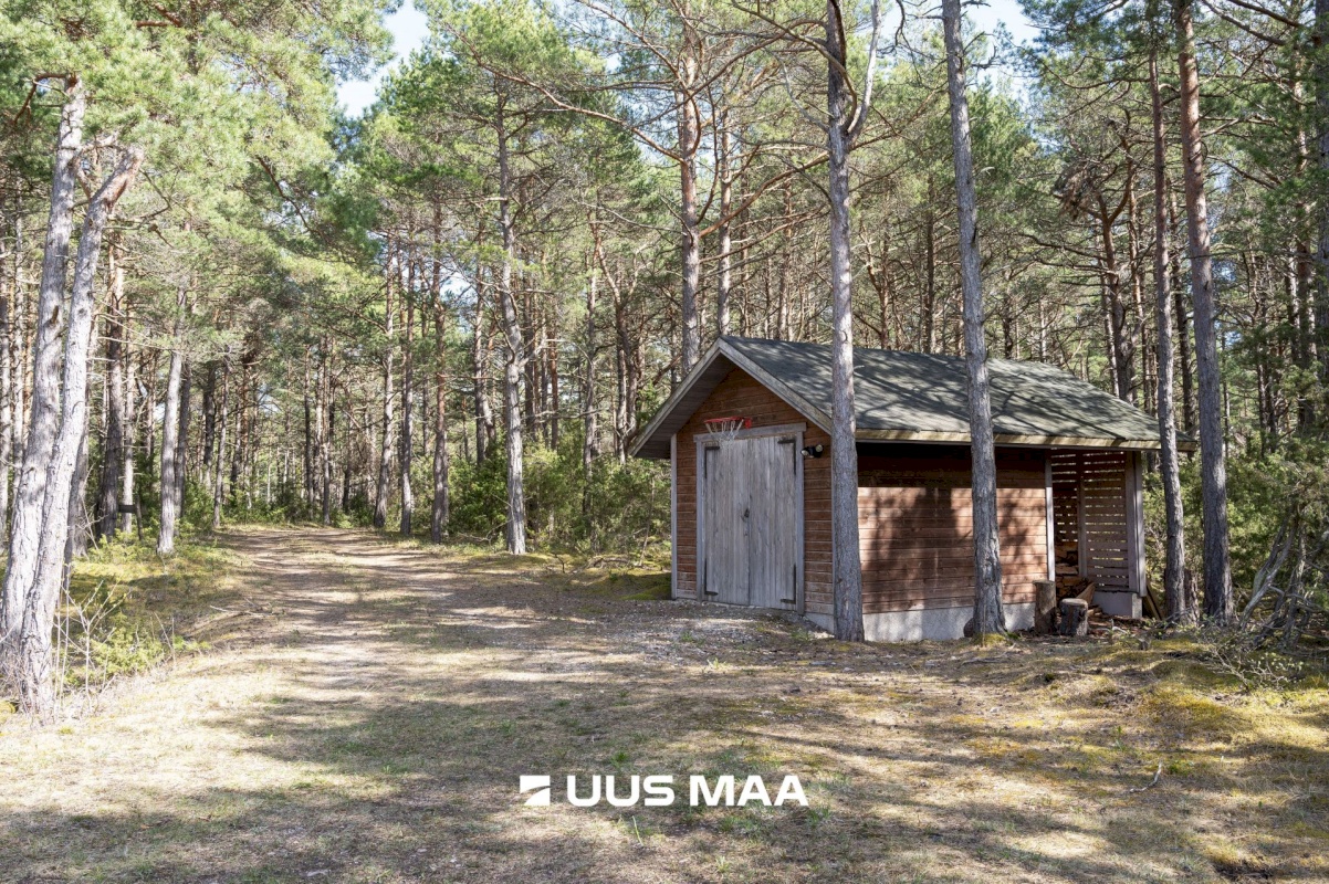 Saaremaa vald, Ninase küla, Loojangu