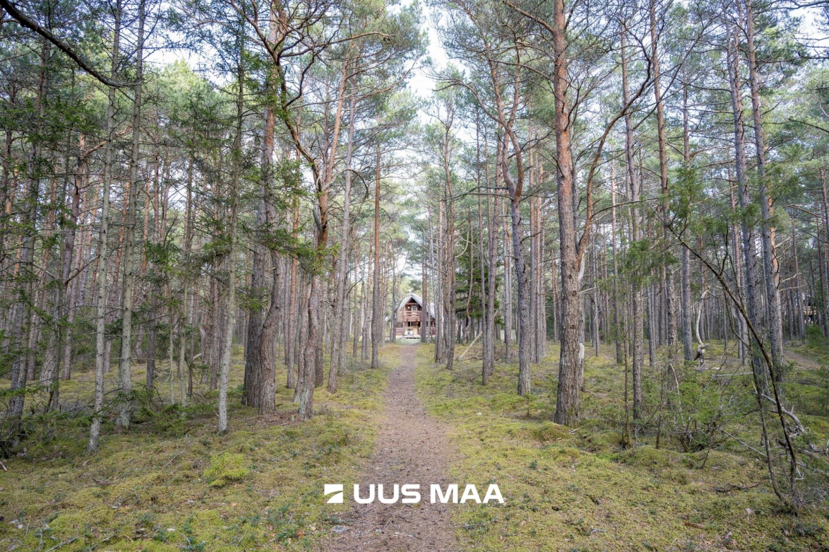 Saaremaa vald, Ninase küla, Loojangu