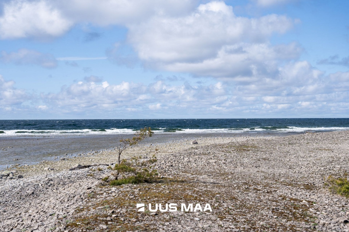 Saaremaa vald, Ninase küla, Loojangu