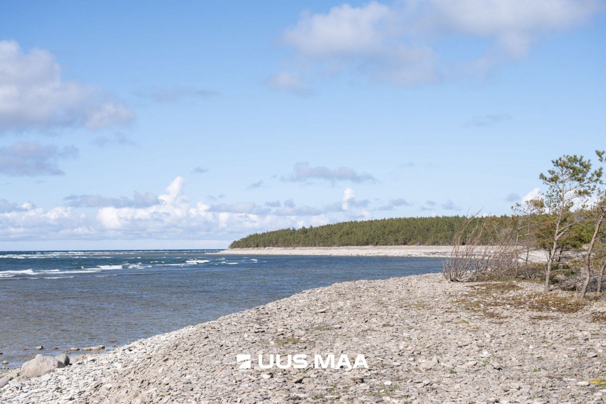 Saaremaa vald, Ninase küla, Loojangu