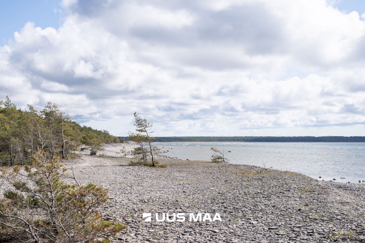 Saaremaa vald, Ninase küla, Loojangu