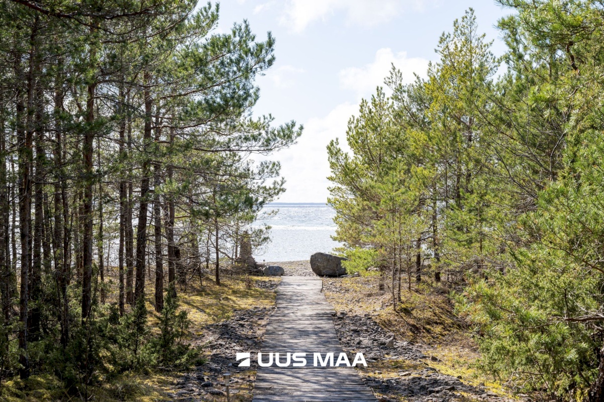 Saaremaa vald, Ninase küla, Loojangu