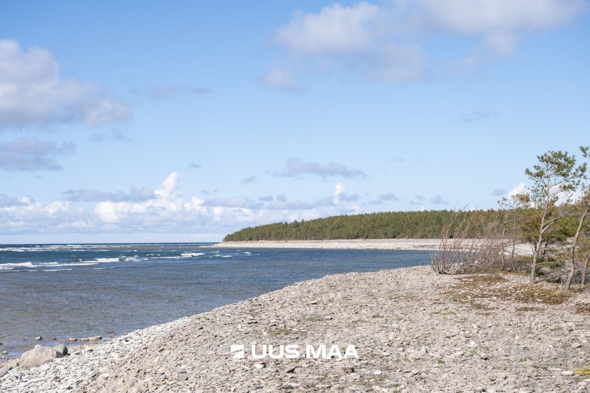 Saaremaa vald, Ninase küla, Loojangu