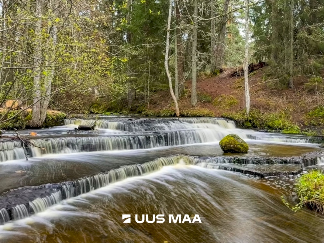 Lääne-Harju vald, Tuulna küla, Oomega 7