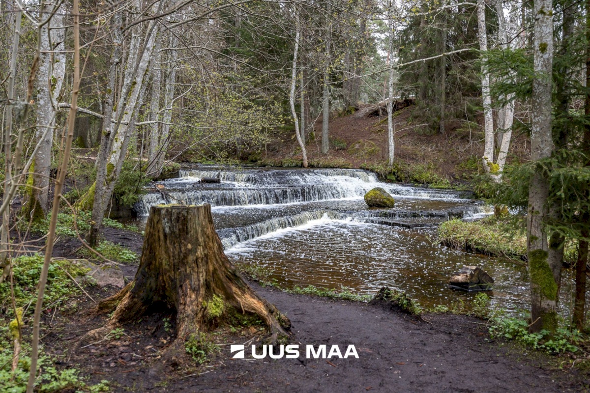 Lääne-Harju vald, Tuulna küla, Oomega 7