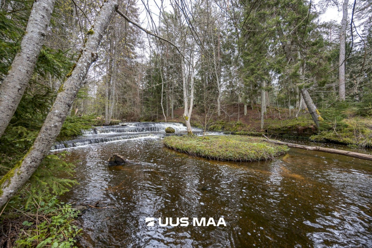 Lääne-Harju vald, Tuulna küla, Oomega 7