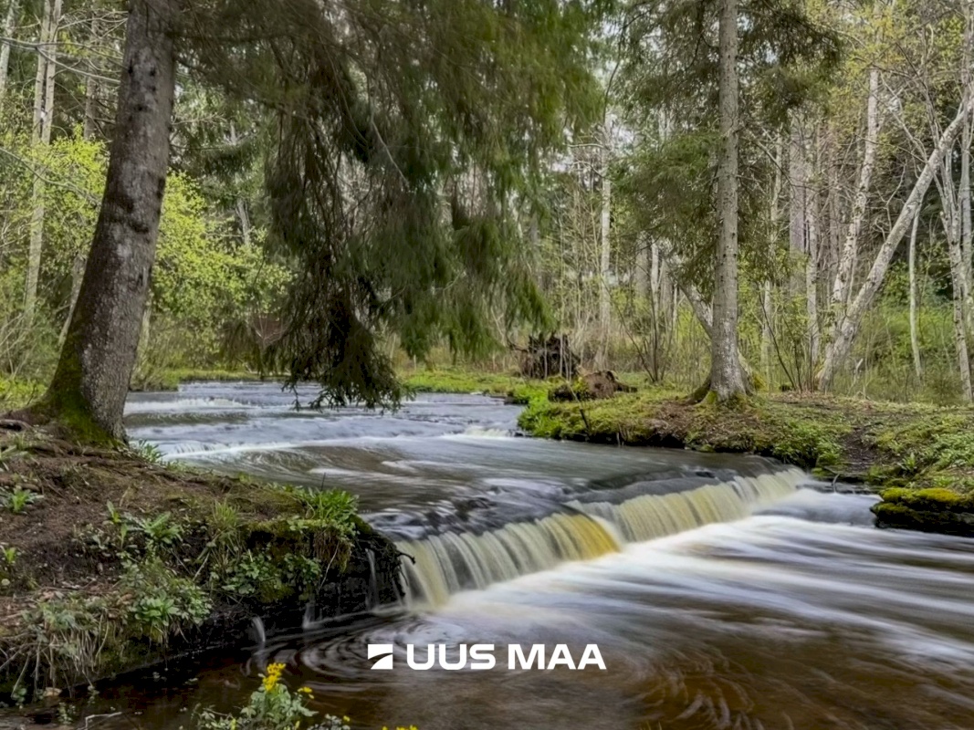 Lääne-Harju vald, Tuulna küla, Oomega 7