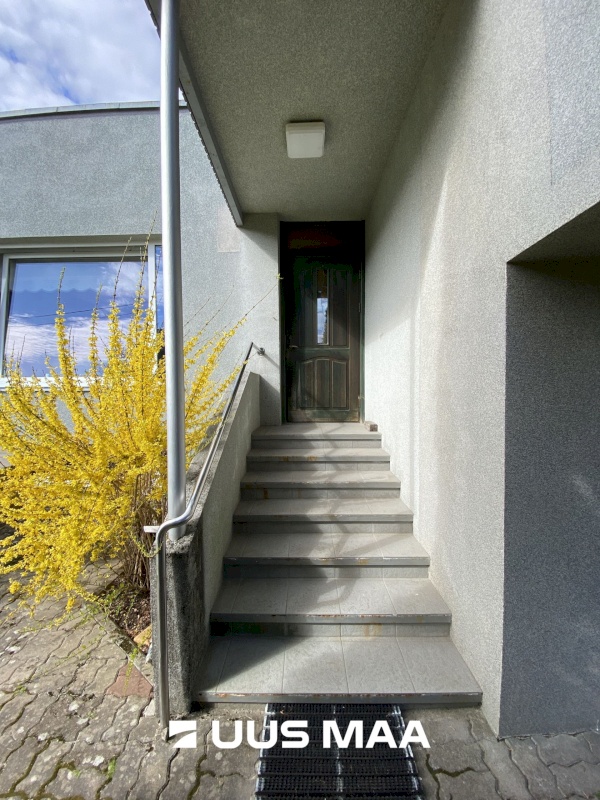Rakvere linn, Timuti