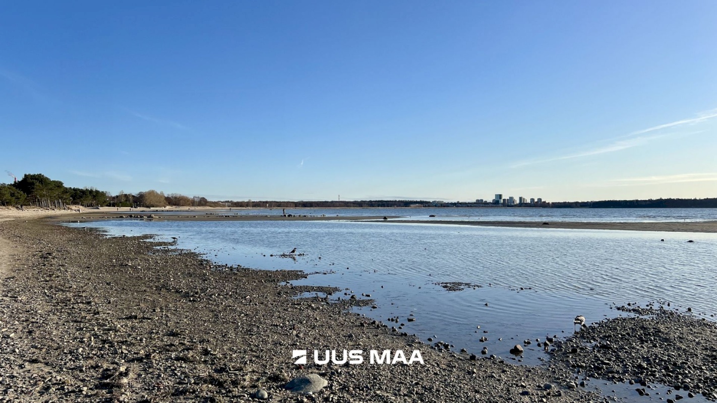 Tallinn, Põhja-Tallinna linnaosa, Pelguranna, Madala tn 16