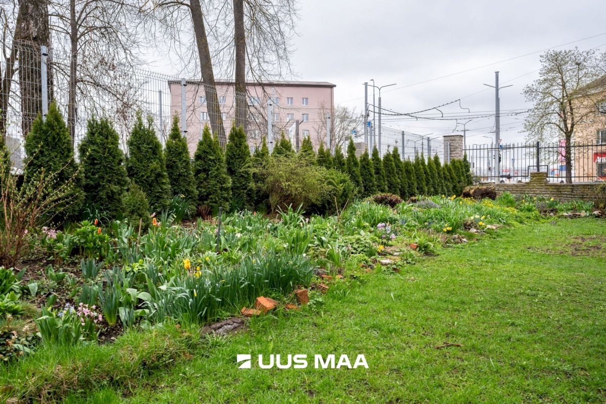Tallinn, Lasnamäe linnaosa, Sikupilli, Majaka 59