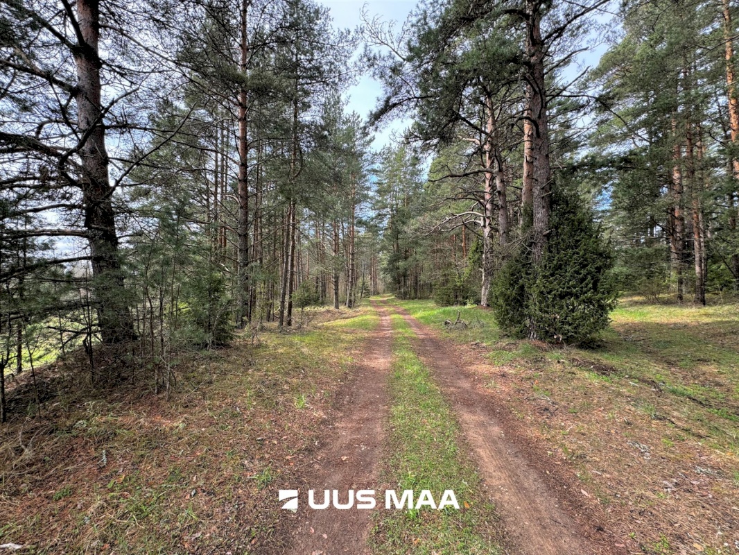 Viru-Nigula vald, Pärna küla, Kogretiigi Siloauk