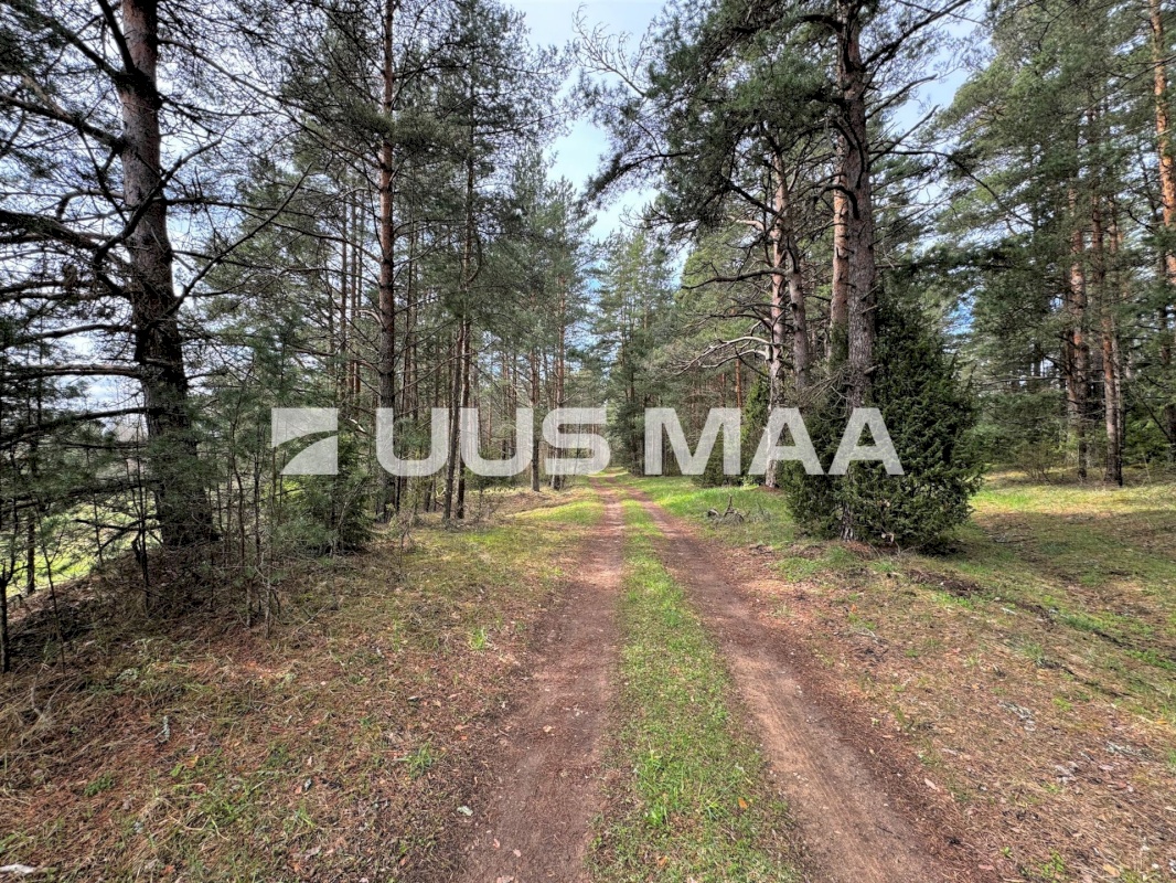 Viru-Nigula vald, Pärna küla, Kogretiigi Siloauk