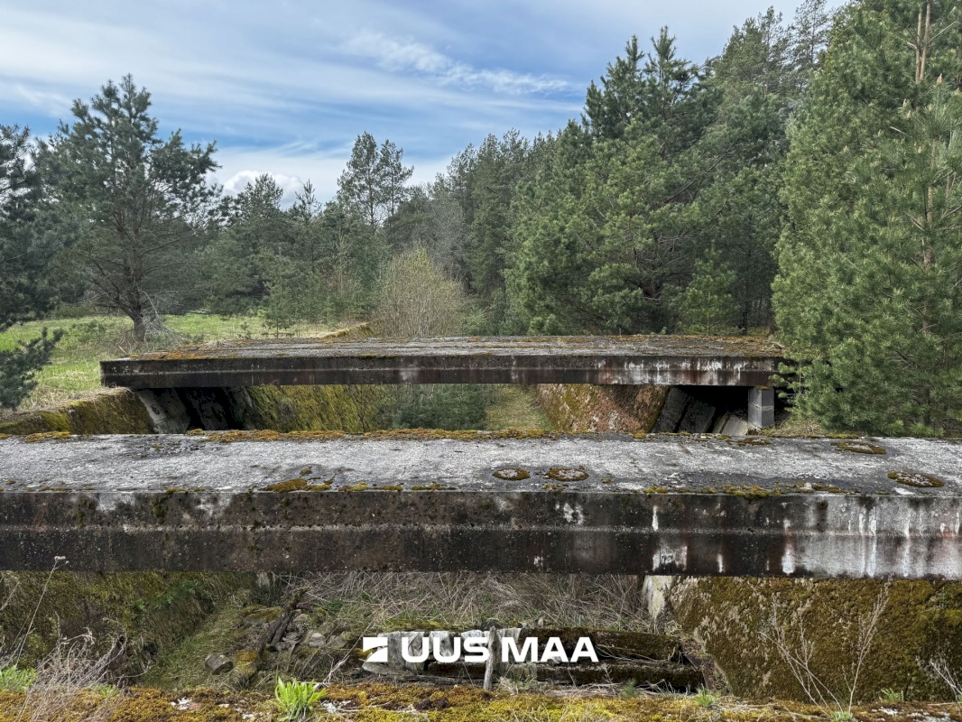 Viru-Nigula vald, Pärna küla, Kogretiigi Siloauk