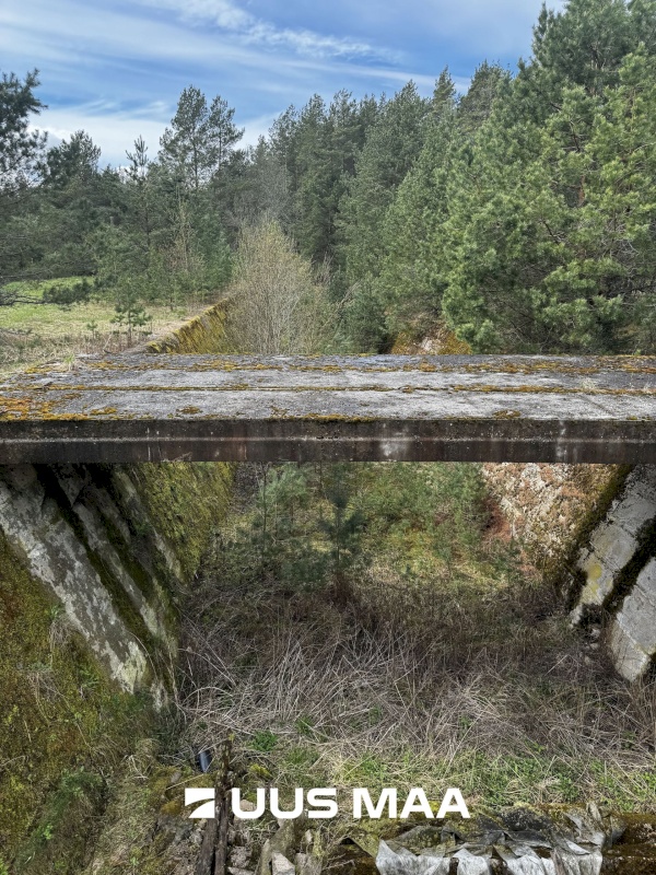 Viru-Nigula vald, Pärna küla, Kogretiigi Siloauk