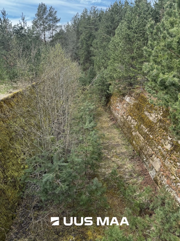 Viru-Nigula vald, Pärna küla, Kogretiigi Siloauk