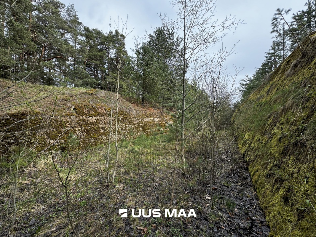 Viru-Nigula vald, Pärna küla, Kogretiigi Siloauk