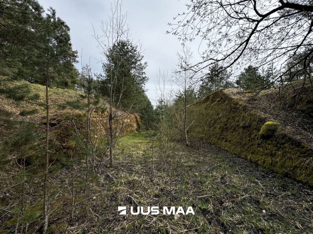 Viru-Nigula vald, Pärna küla, Kogretiigi Siloauk