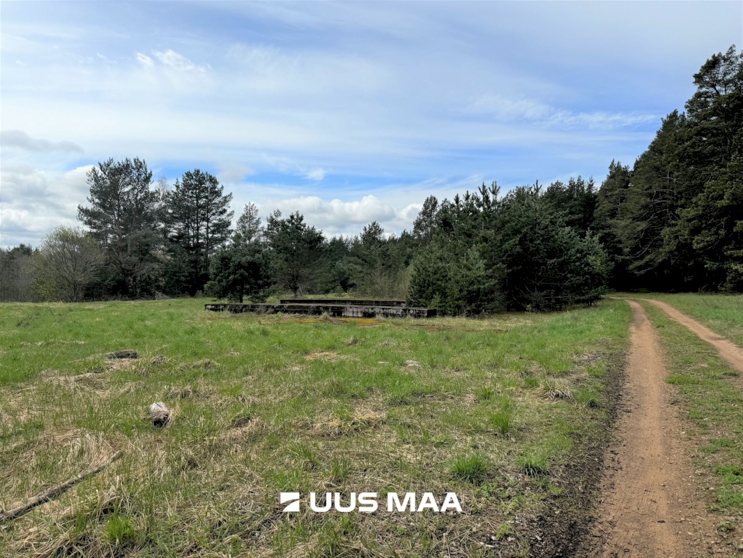 Viru-Nigula vald, Pärna küla, Kogretiigi Siloauk