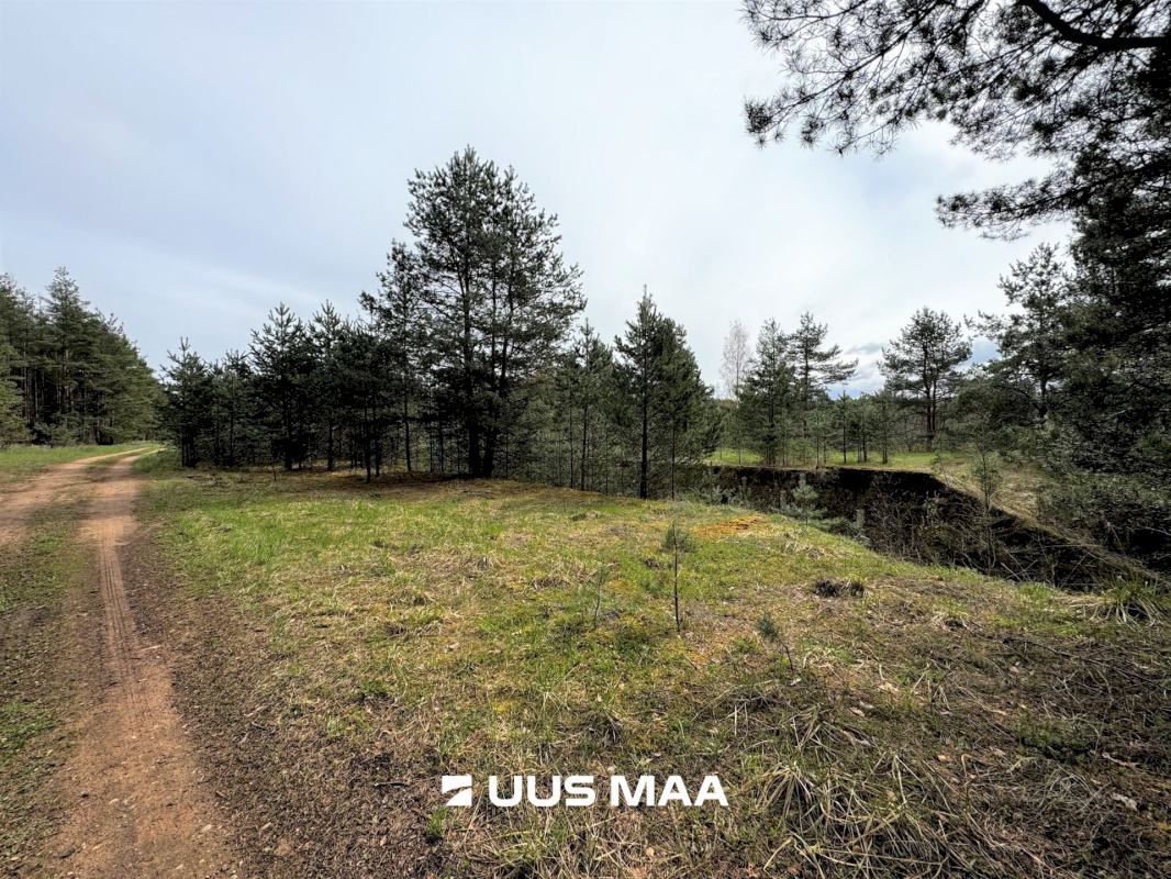 Viru-Nigula vald, Pärna küla, Kogretiigi Siloauk