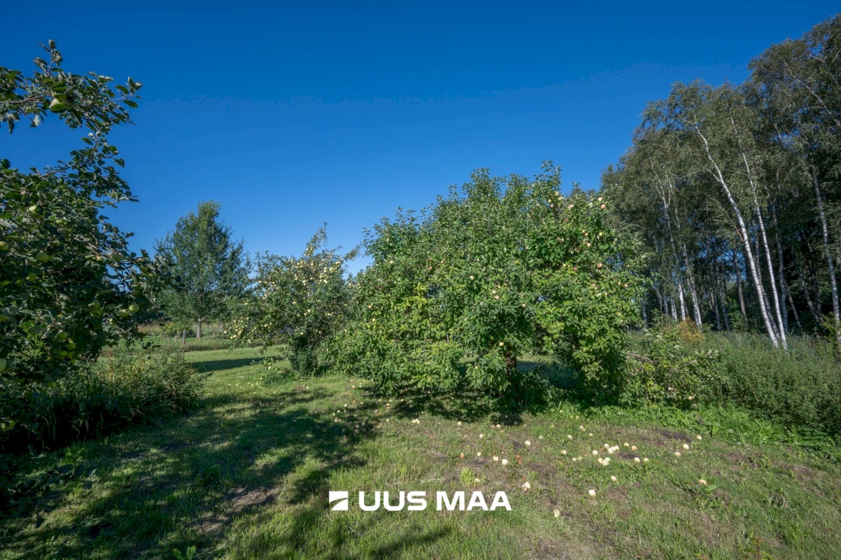 Rae vald, Patika küla, Nabala tee 15