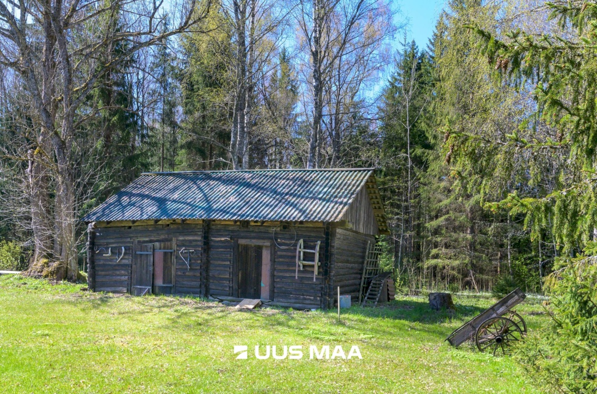 Kadrina vald, Mõndavere küla