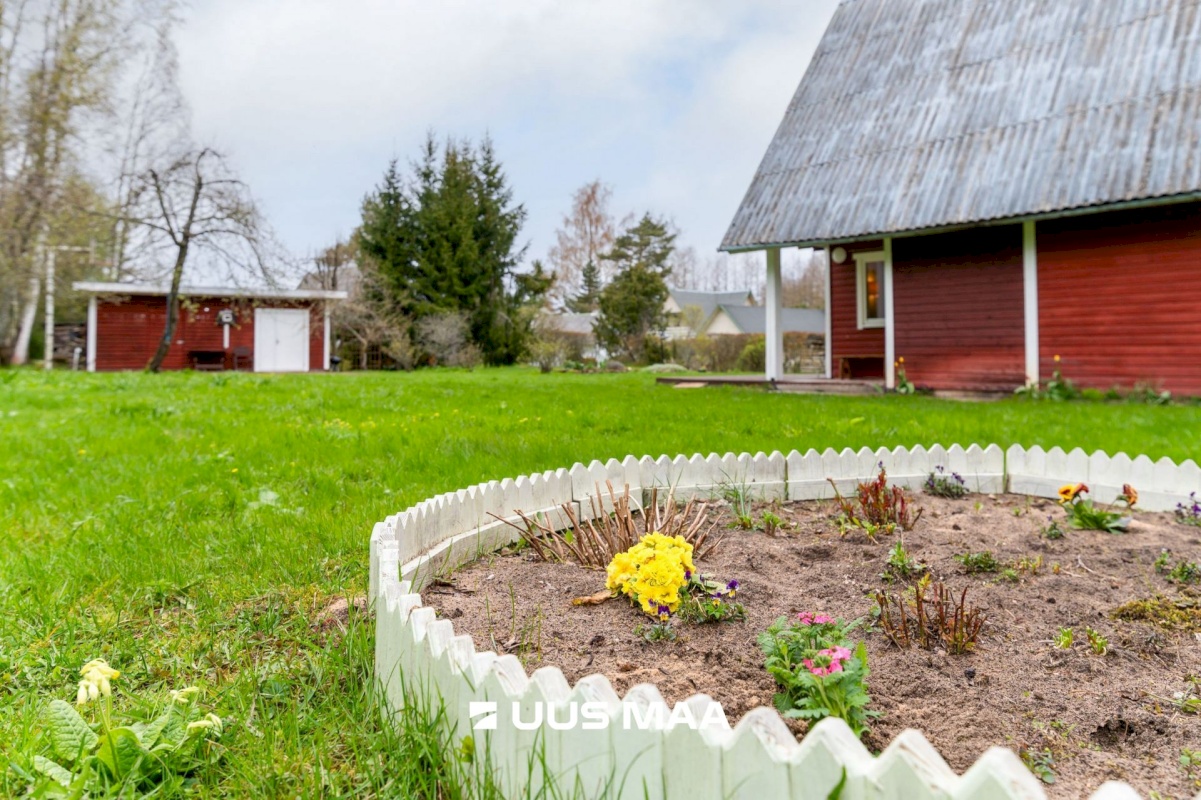 Haljala vald, Eisma küla, Laine 24