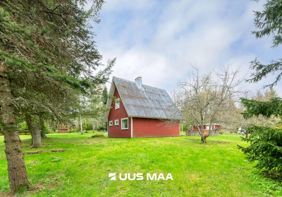 Haljala vald, Eisma küla, Laine 24
