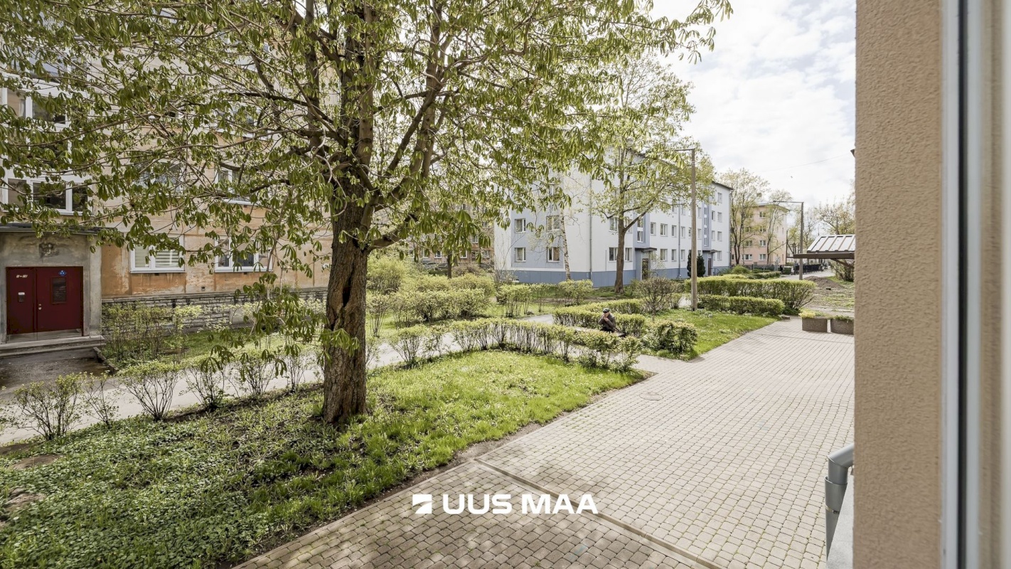 Tallinn, Põhja-Tallinna linnaosa, Karjamaa, Angerja 5