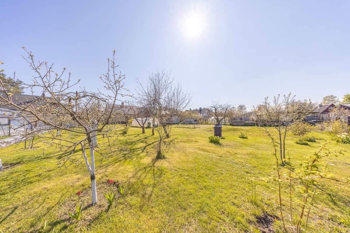 Peipsiääre vald, Kallaste linn, Rahu