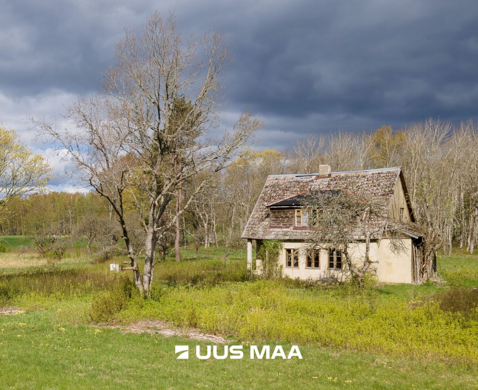 Saaremaa vald, Reo küla, Pihlaka