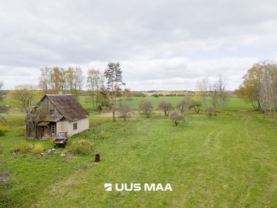 Saaremaa vald, Reo küla, Pihlaka
