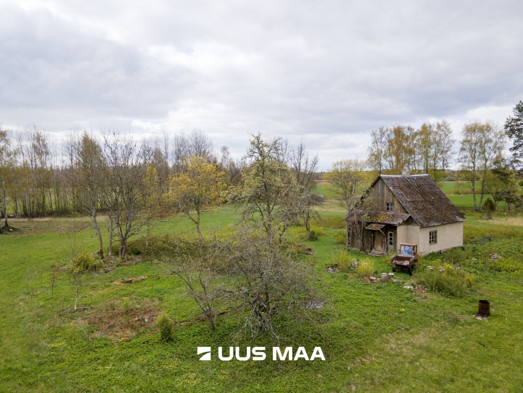 Saaremaa vald, Reo küla, Pihlaka